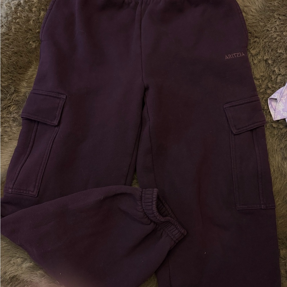 Aritzia Mega Sweatfleece Cargo SweatPants